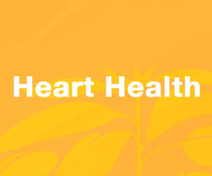 Cardiovascular Support / Heart Health