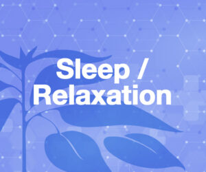 Sleep / Relaxation